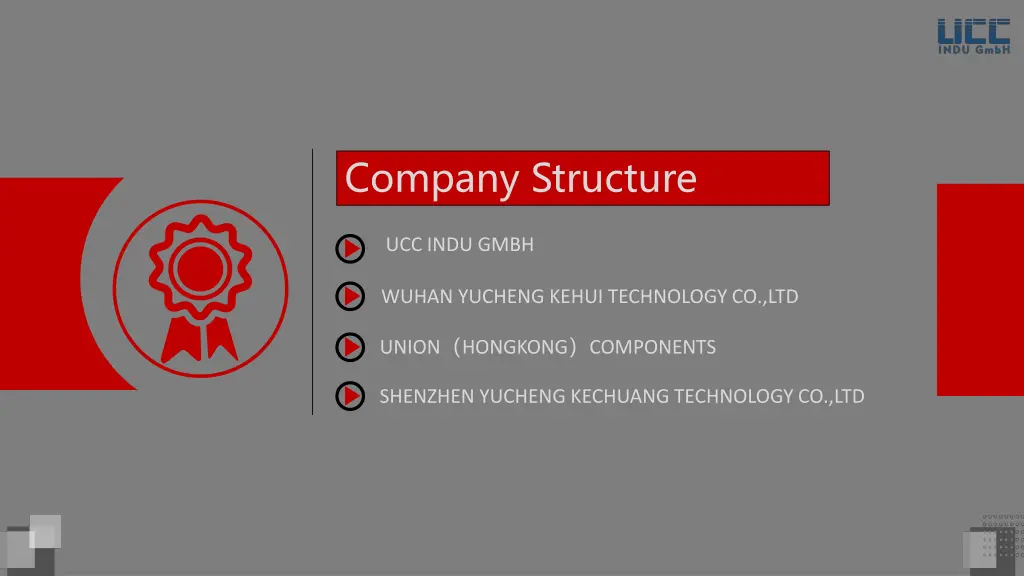 company structure