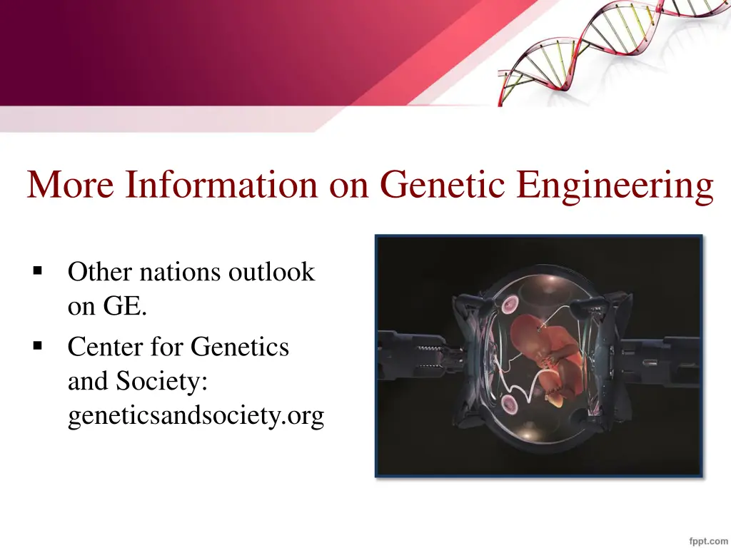 more information on genetic engineering