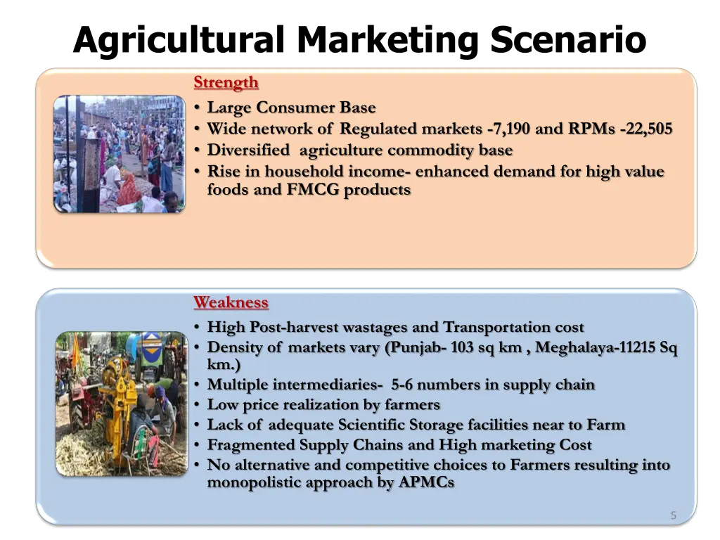 agricultural marketing scenario