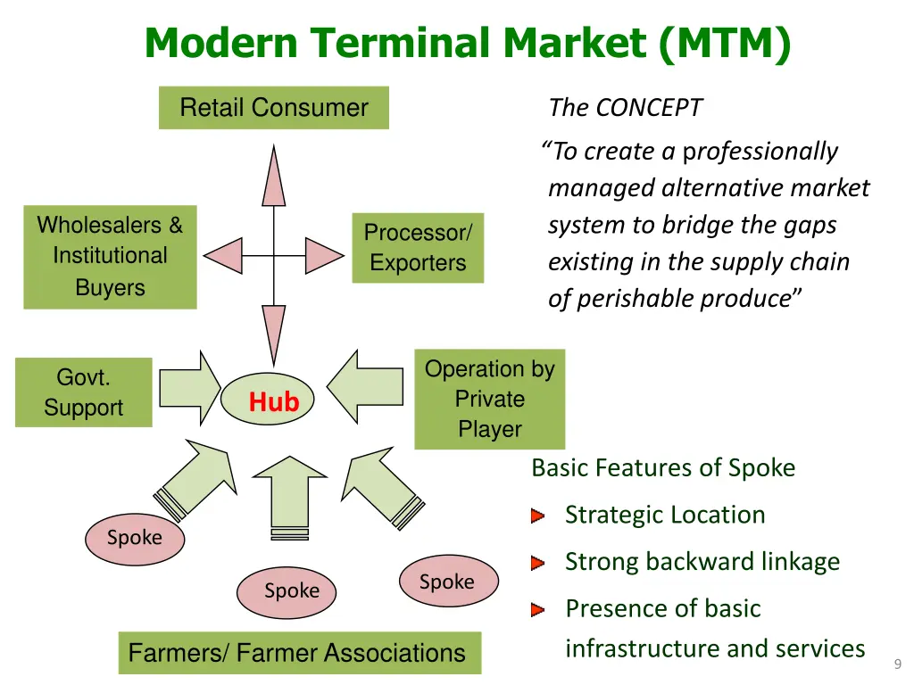 modern terminal market mtm