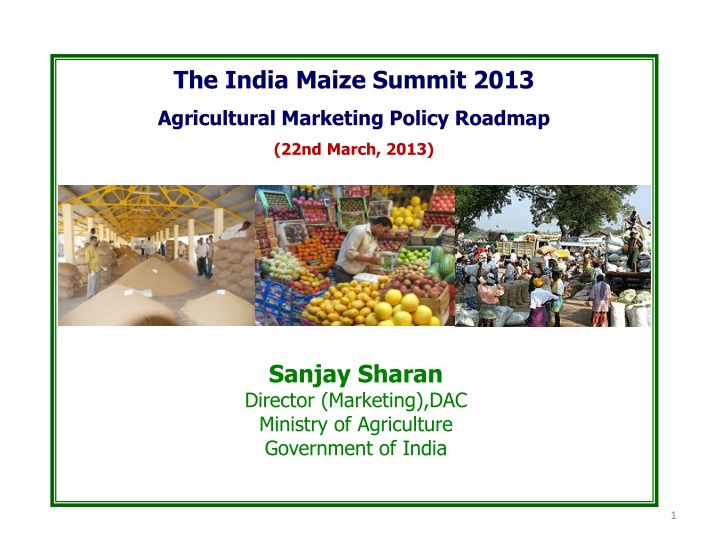 the india maize summit 2013