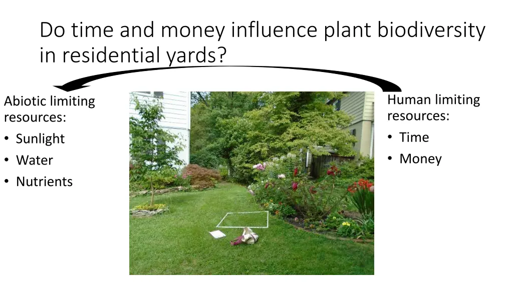 do time and money influence plant biodiversity