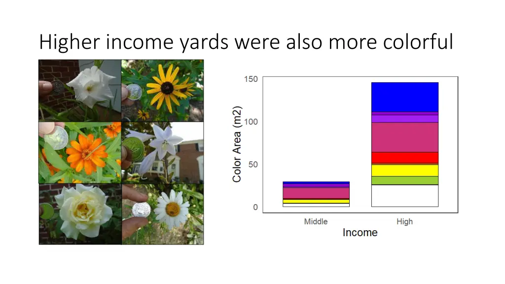 higher income yards were also more colorful