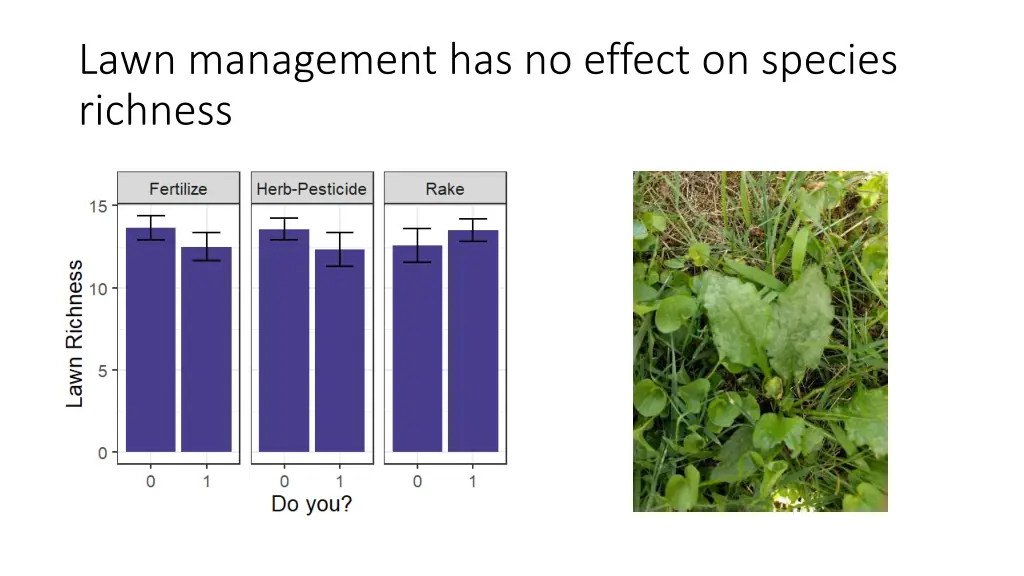 lawn management has no effect on species richness