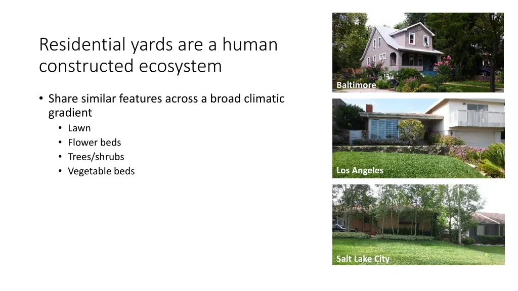 residential yards are a human constructed