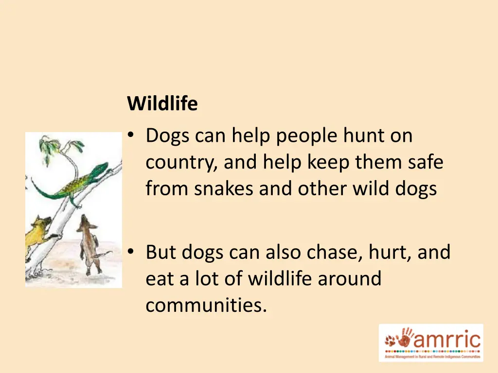 wildlife dogs can help people hunt on country