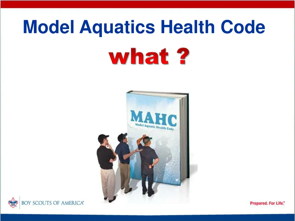 model aquatics health code