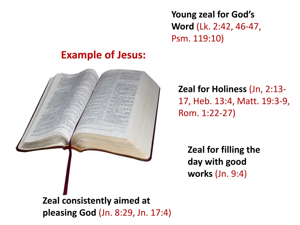 young zeal for god s word lk 2 42 46 47 psm 119 10