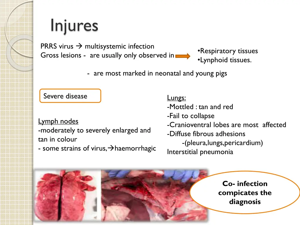 injures