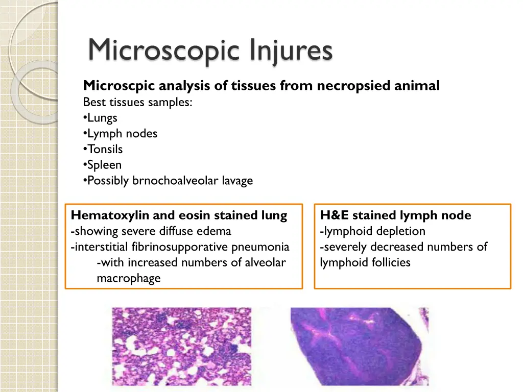 microscopic injures