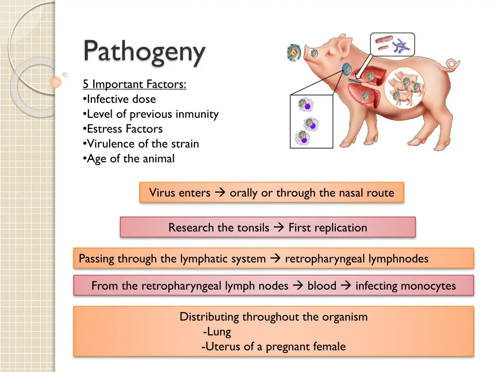 pathogeny