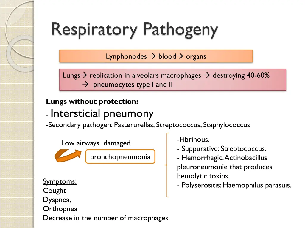 respiratory pathogeny