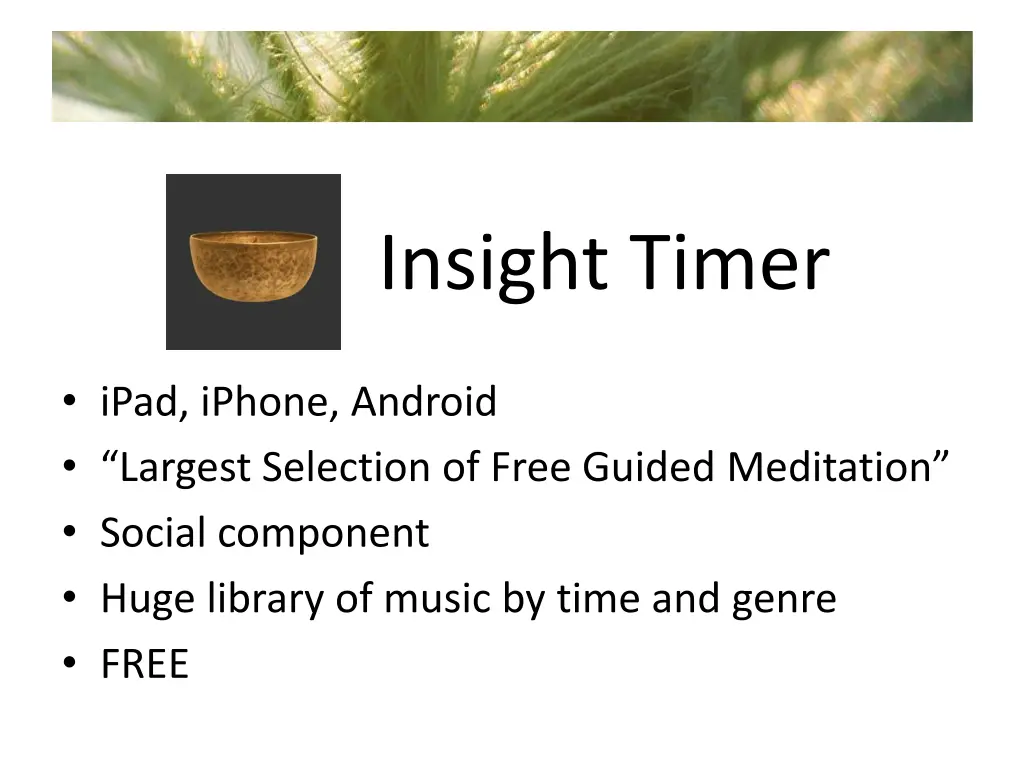 insight timer