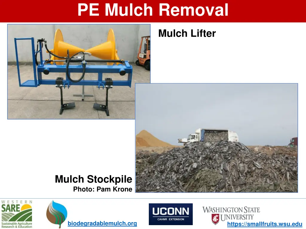 pe mulch removal