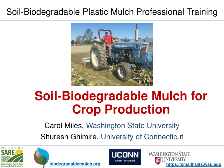 soil biodegradable plastic mulch professional