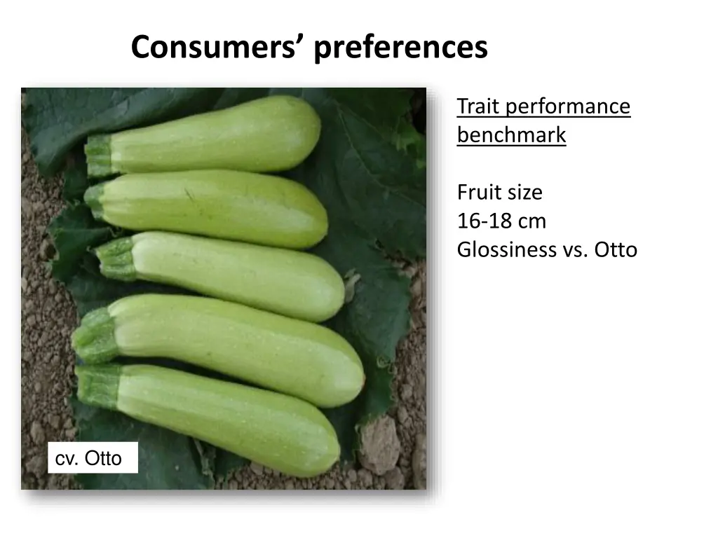 consumers preferences