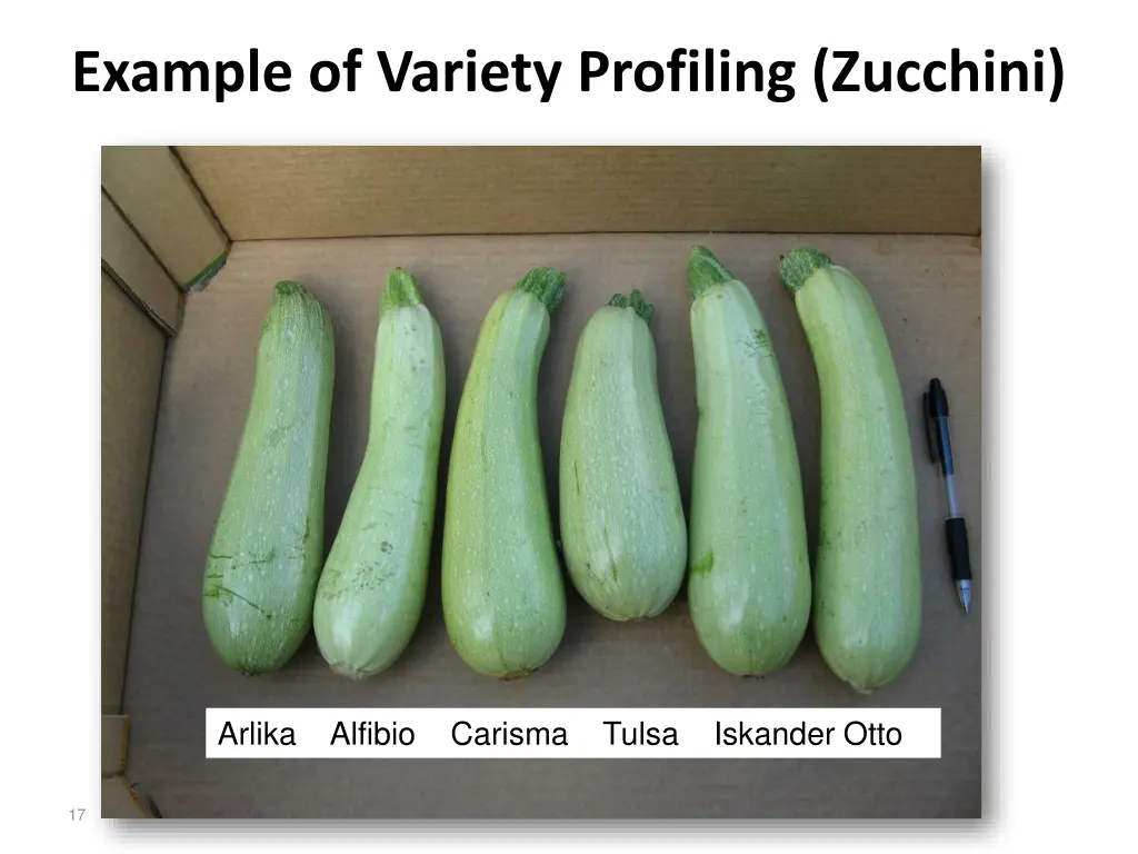 example of variety profiling zucchini