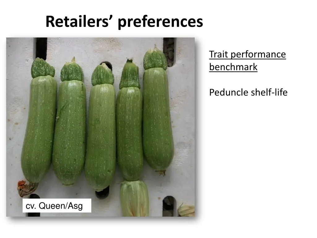 retailers preferences