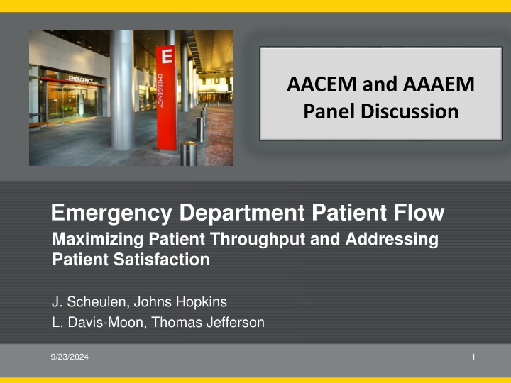 aacem and aaaem panel discussion