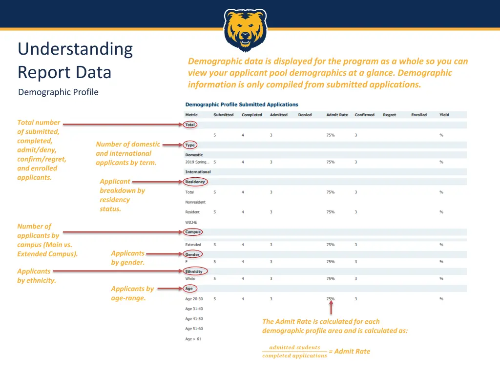 understanding report data demographic profile