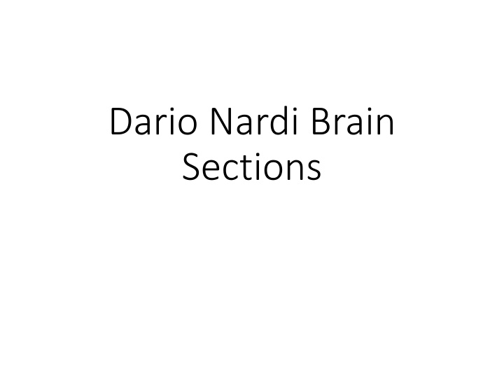 dario nardi brain sections