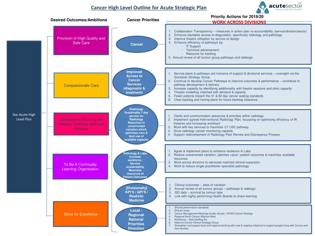 cancer high level outline for acute strategic plan