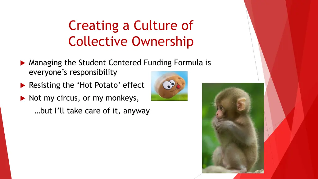 creating a culture of collective ownership 1