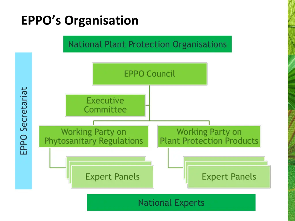 eppo s organisation