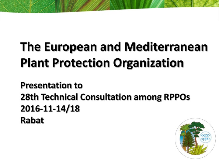 the european and mediterranean plant protection