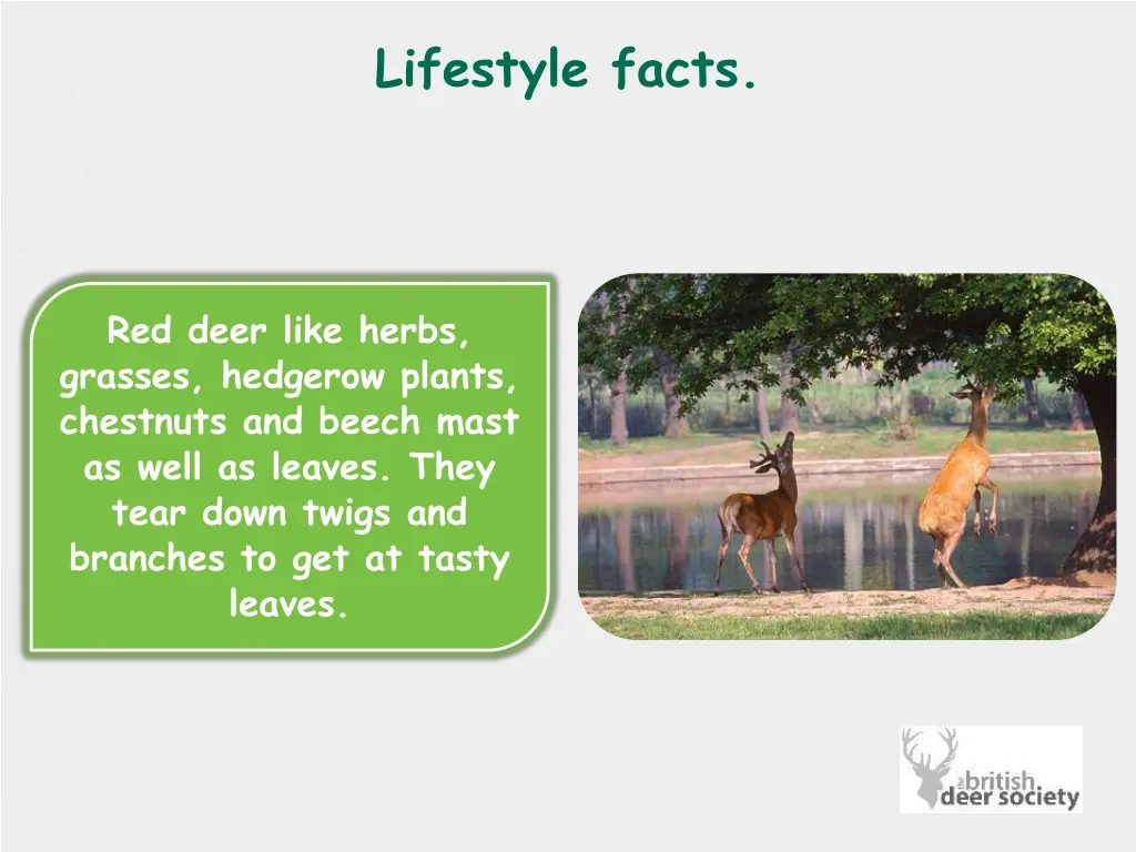 lifestyle facts 1