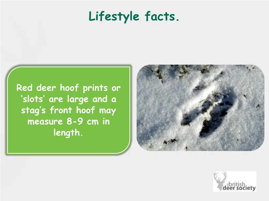 lifestyle facts 2