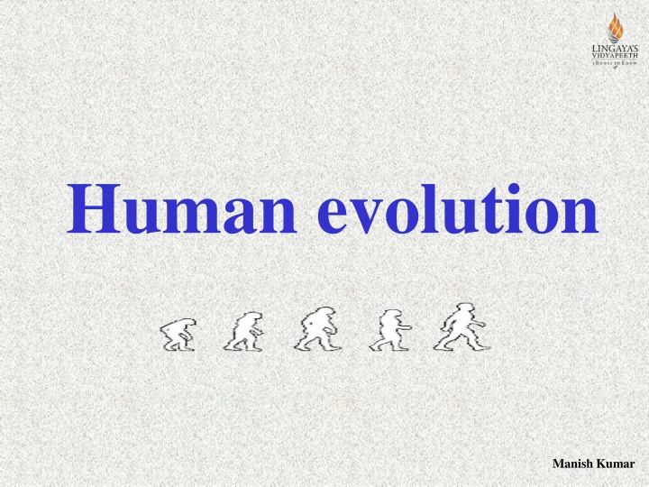 human evolution