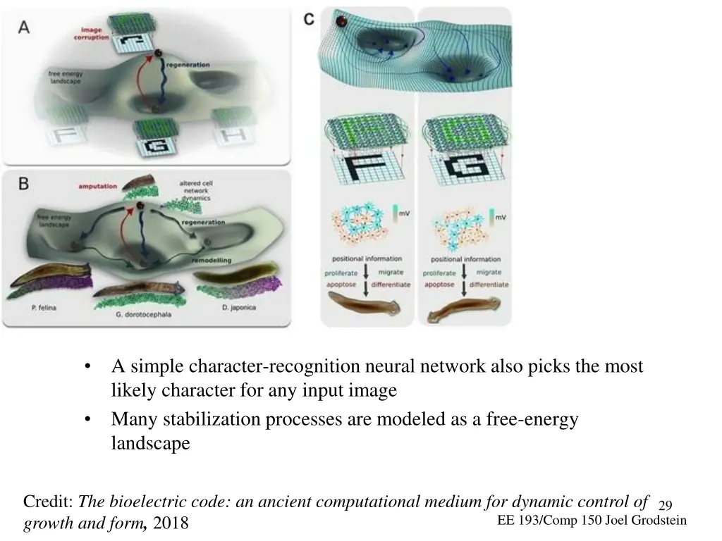 a simple character recognition neural network