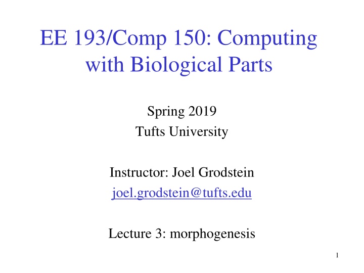 ee 193 comp 150 computing with biological parts