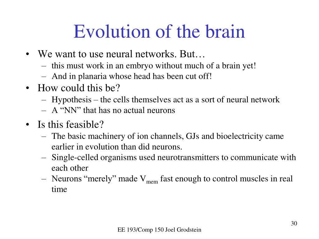 evolution of the brain