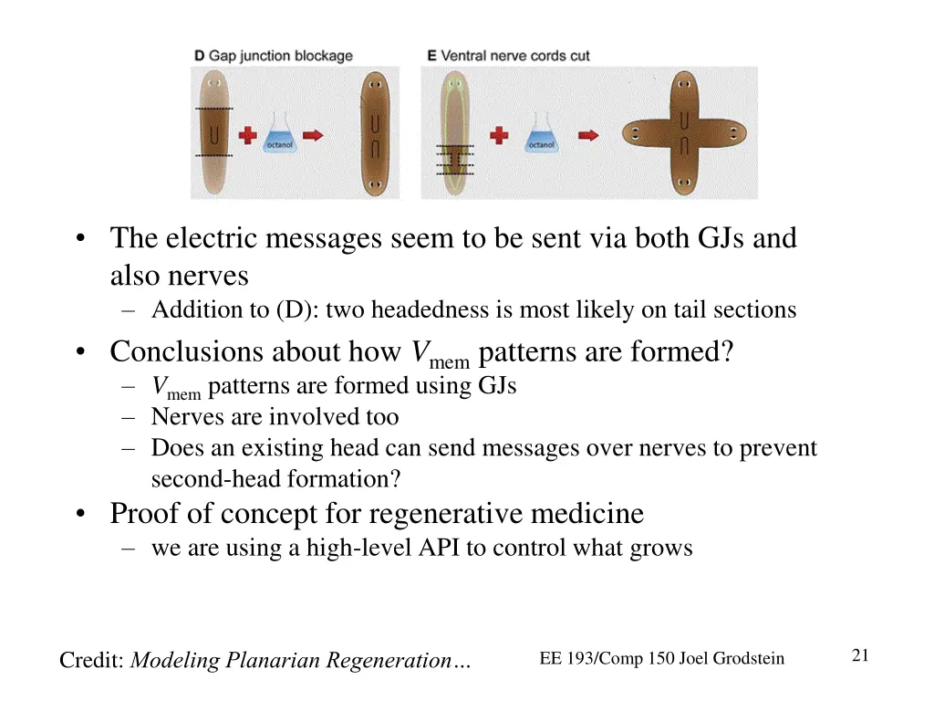 the electric messages seem to be sent via both