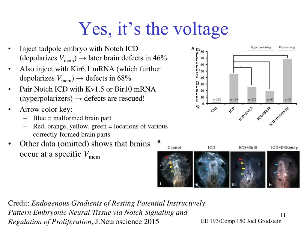 yes it s the voltage