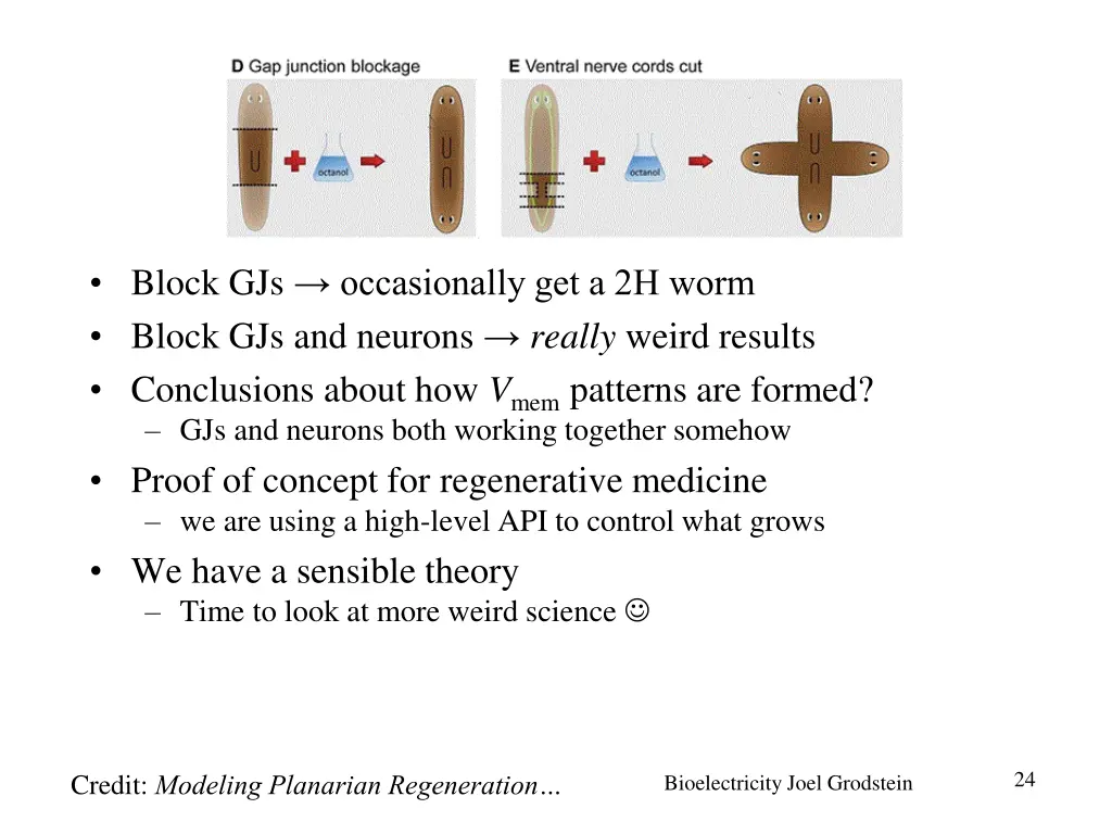 block gjs occasionally get a 2h worm block