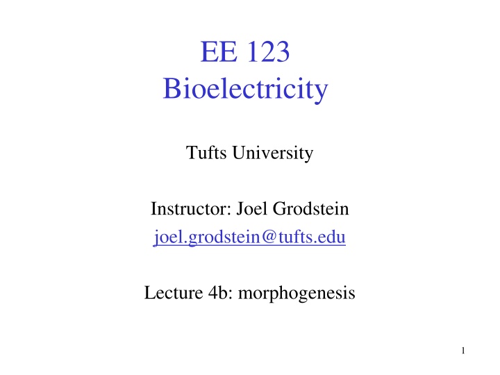 ee 123 bioelectricity