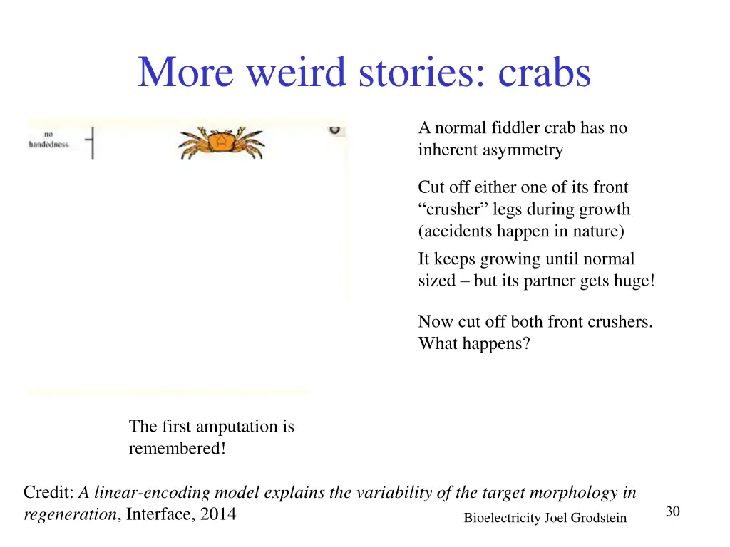 more weird stories crabs