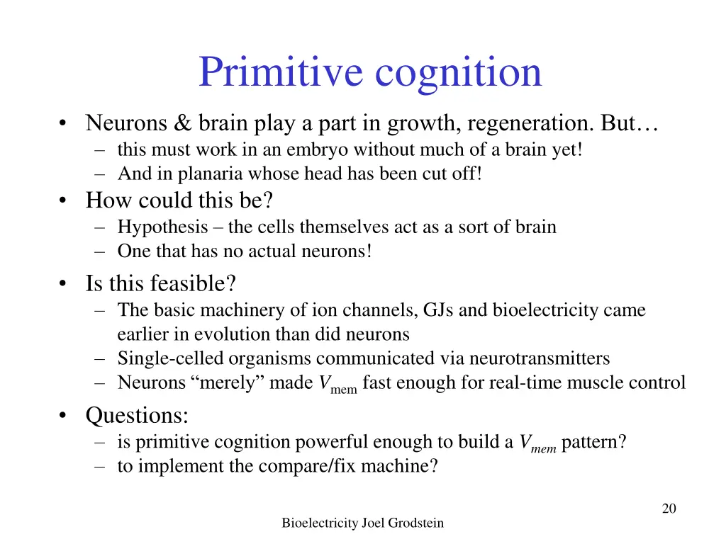 primitive cognition