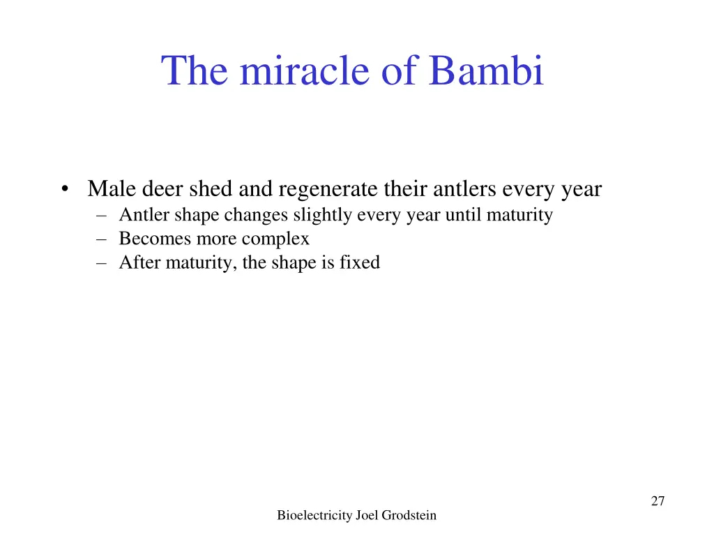 the miracle of bambi