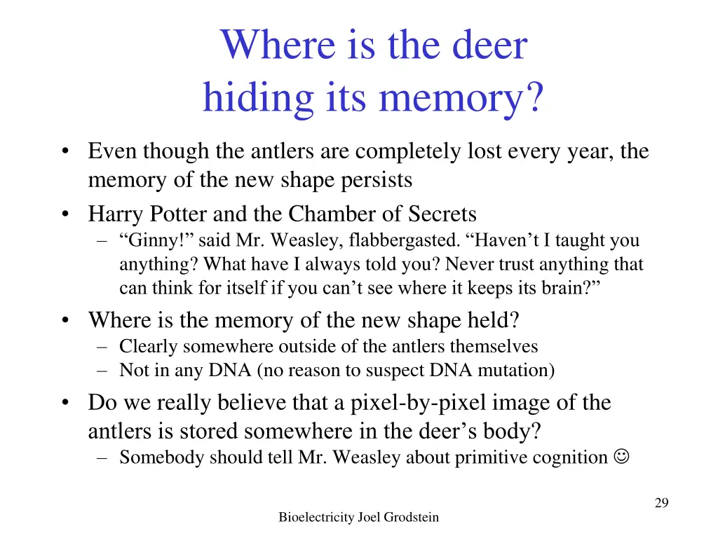 where is the deer hiding its memory