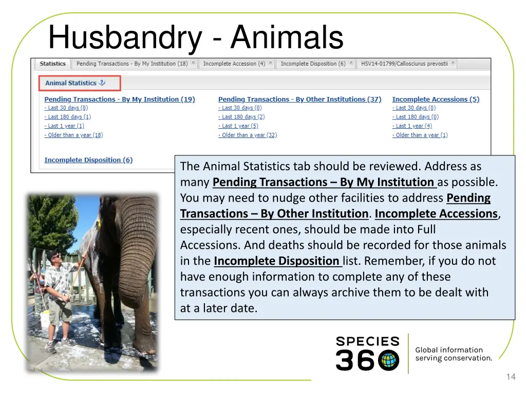 husbandry animals 1