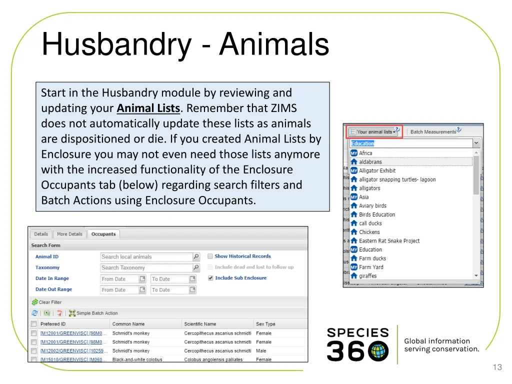 husbandry animals