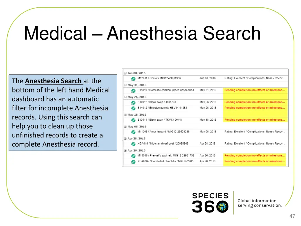 medical anesthesia search