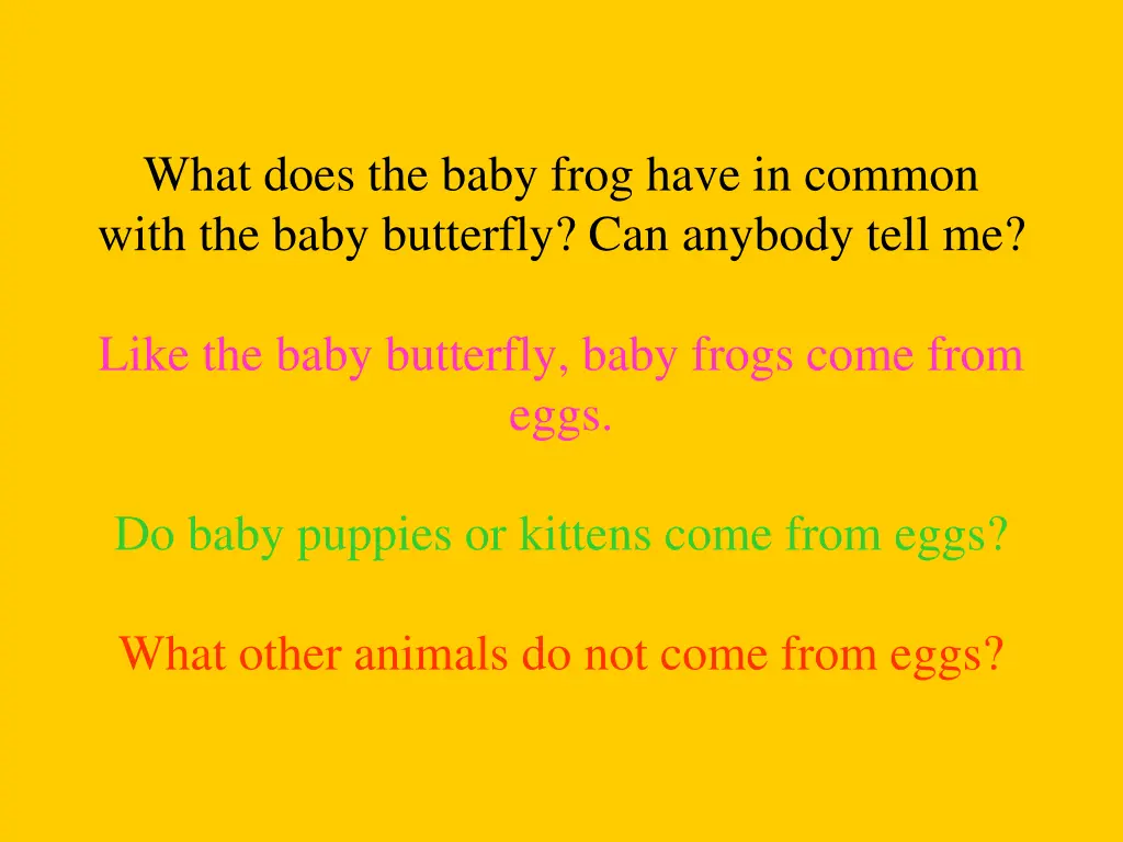 what does the baby frog have in common with