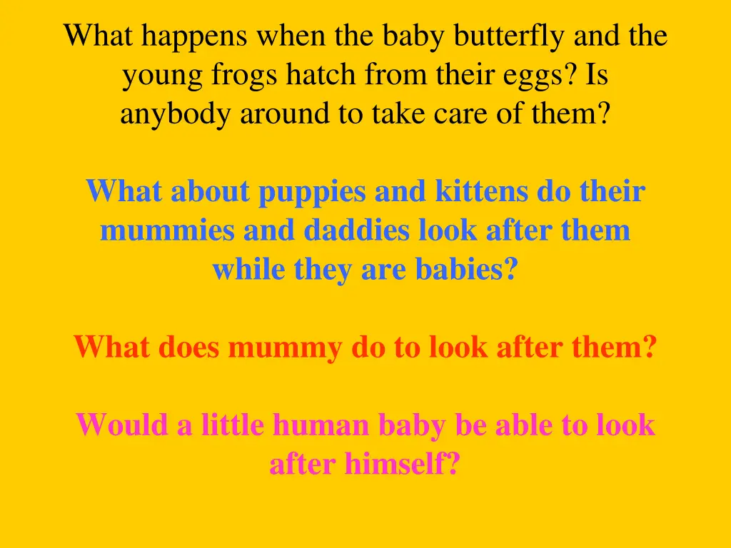 what happens when the baby butterfly