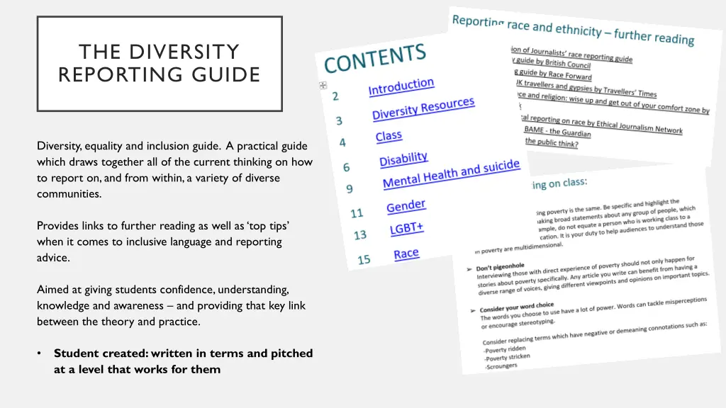 the diversity reporting guide