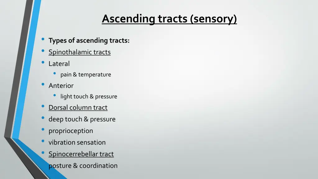 ascending tracts sensory